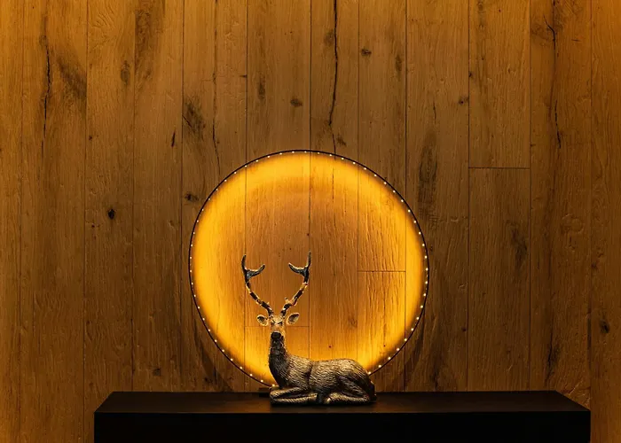 L'ecrin Blanc Lejlighed